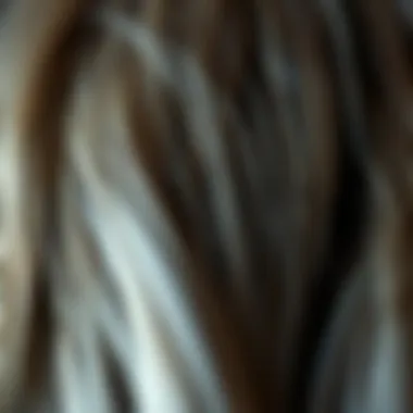 Close-up of wig fibers highlighting material quality