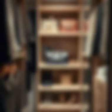 Organized closet featuring clear dust covers