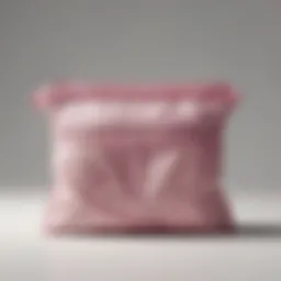 A specialized wash bag designed for delicate underwear, showcasing its mesh material and zipper.