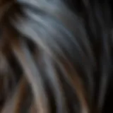 Close-up of premium hair strands showcasing texture and shine